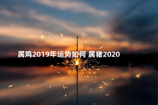 属鸡2019年运势如何 属猪2020年运势及运程